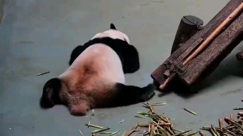 这就是睡不着的你